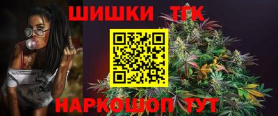 гашик Славгород