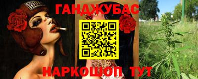 гашик Славгород