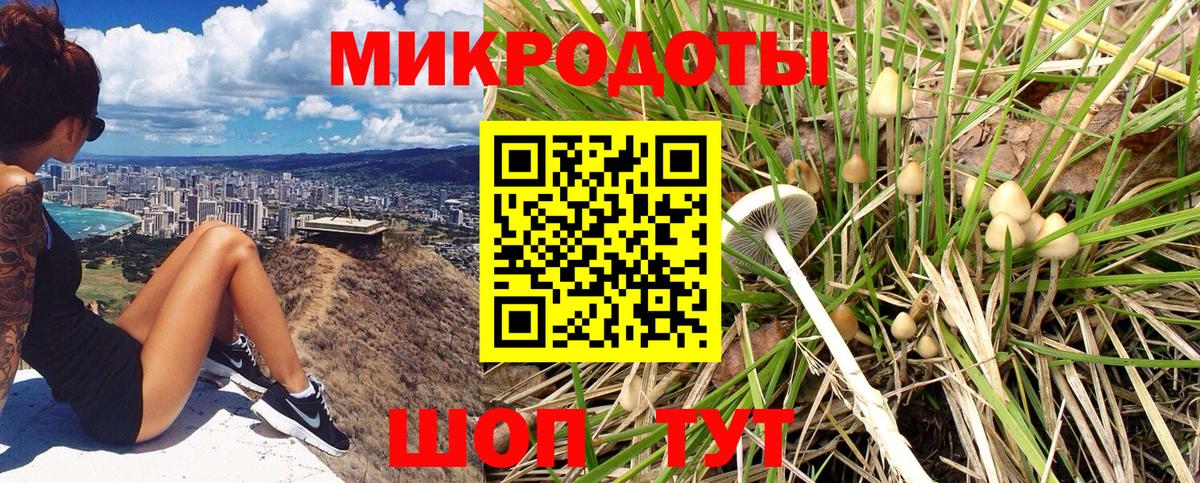 Галлюциногенные грибы MAGIC MUSHROOMS  купить наркотик  Рузаевка  Вход с VPN 